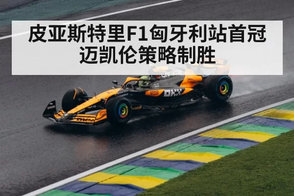 皮亚斯特里F1匈牙利站首冠 迈凯伦策略制胜 - hth